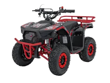 Quad Spalinowy 49CC SIRIUS