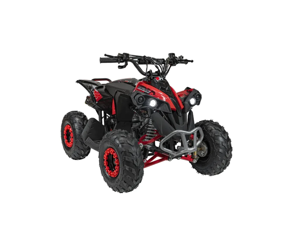 6894817020a01_quad-spalinowy-renegade-hiperfect-110cc-na-tle-terenu